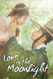 Love in the Moonlight (2016)